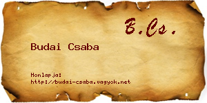 Budai Csaba névjegykártya