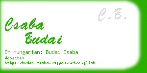 csaba budai business card